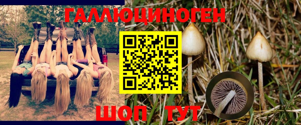 Галлюциногенные грибы Magic Shrooms  Вход с VPN  Урус-Мартан 